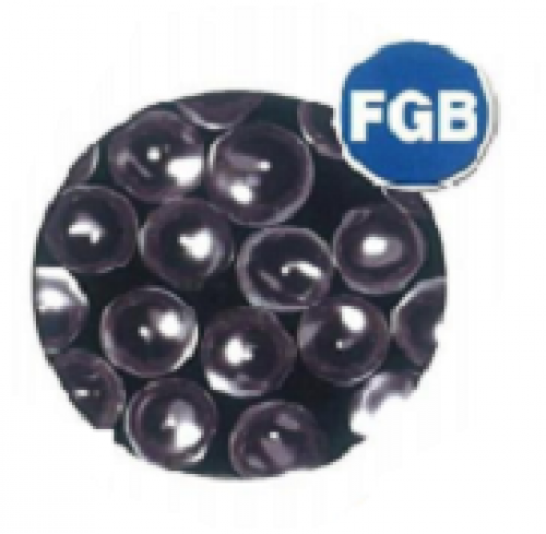 FUJI GLASS BEADS (FGB)